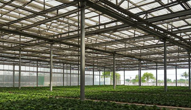 长沙网站建设公司：应用场景分析